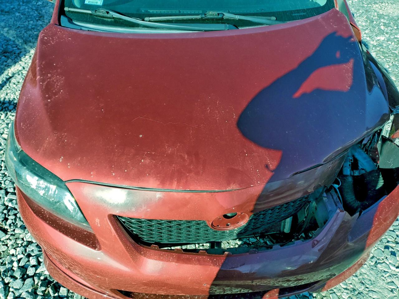 2010 TOYOTA COROLLA BASE photo 21