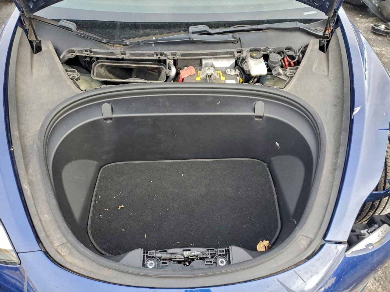 2019 TESLA MODEL 3 photo 11