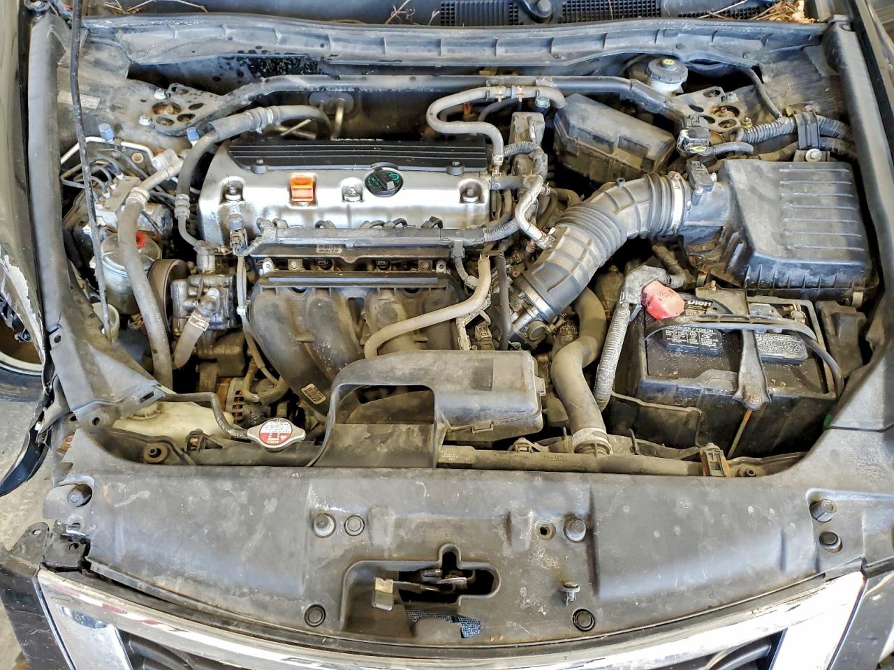 2010 HONDA ACCORD EXL photo 11