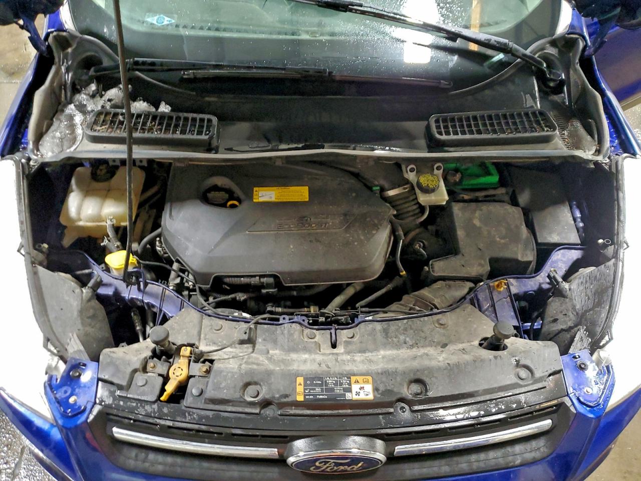 2016 FORD ESCAPE SE photo 11