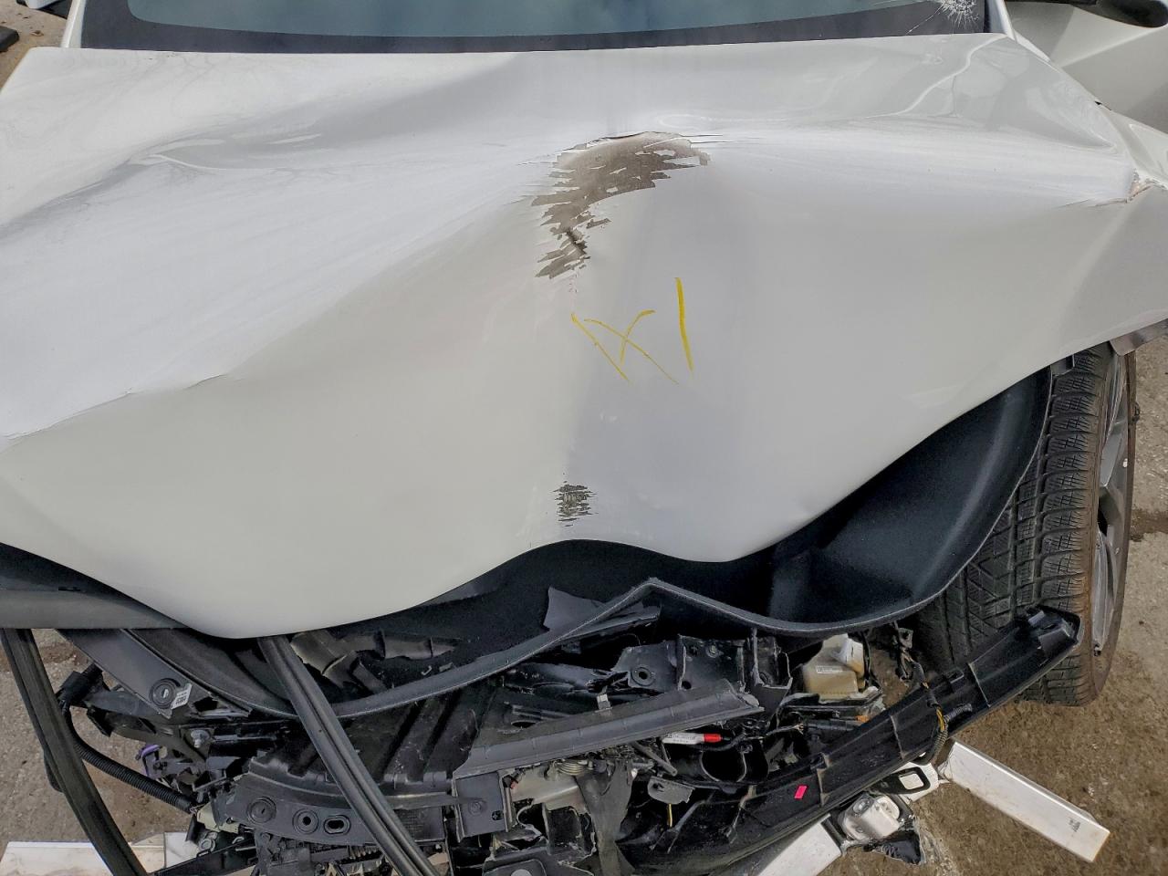 2024 TESLA MODEL X photo 11