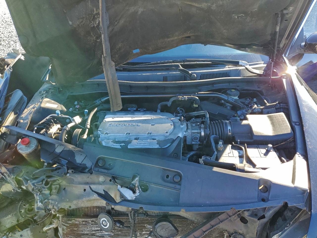 2008 HONDA ACCORD EXL photo 11