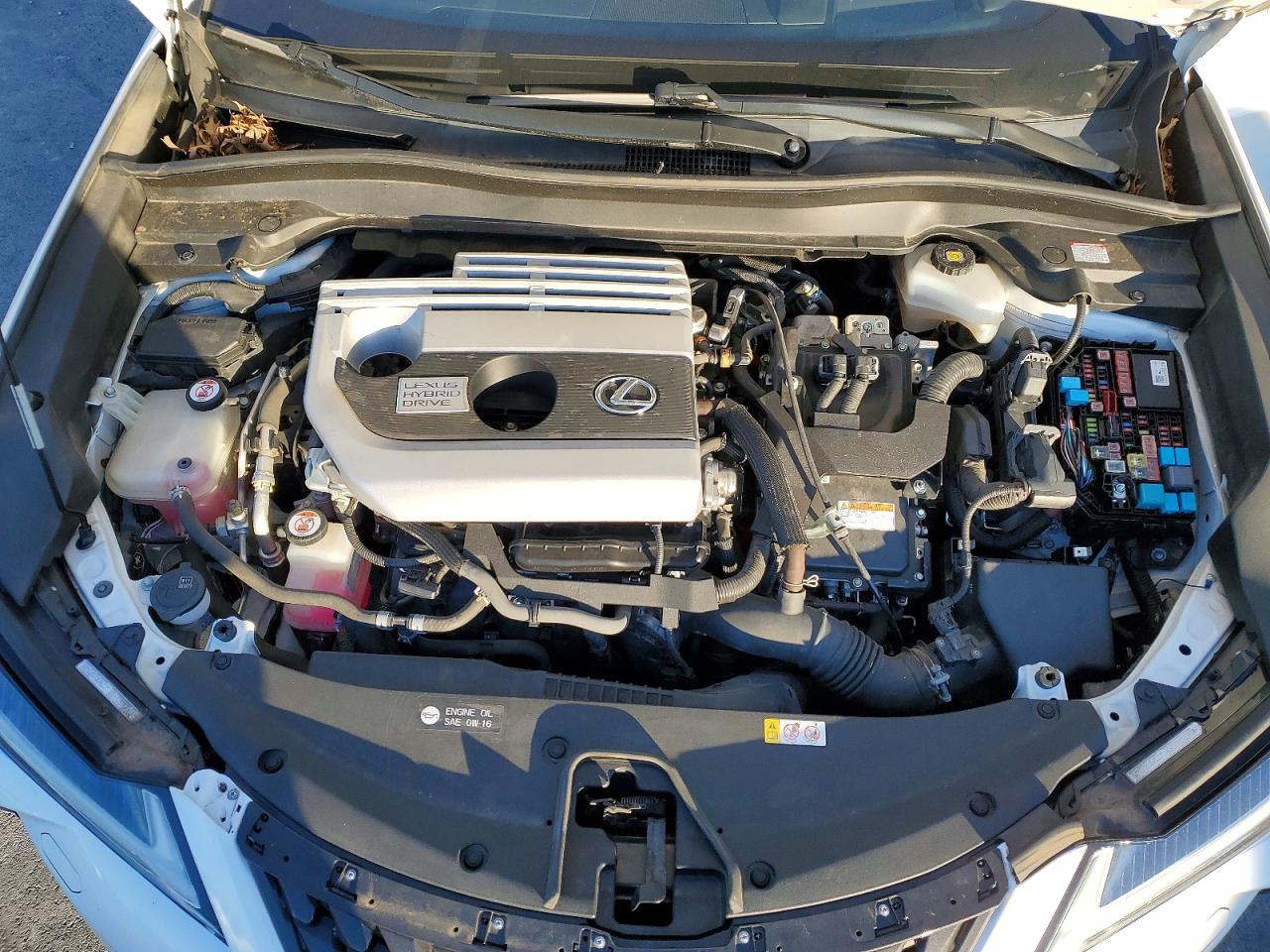 2019 LEXUS UX 250H photo 12