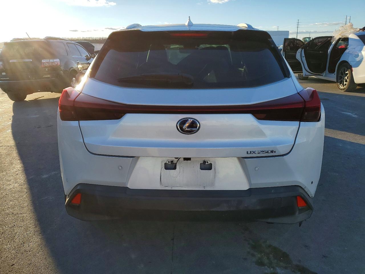 2019 LEXUS UX 250H photo 6