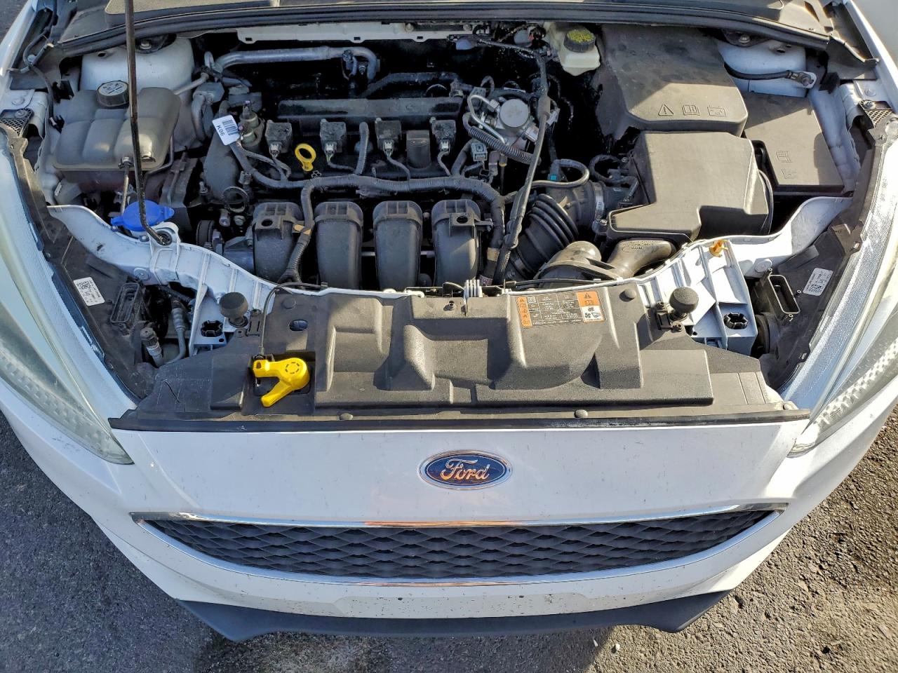 2017 FORD FOCUS SE photo 11