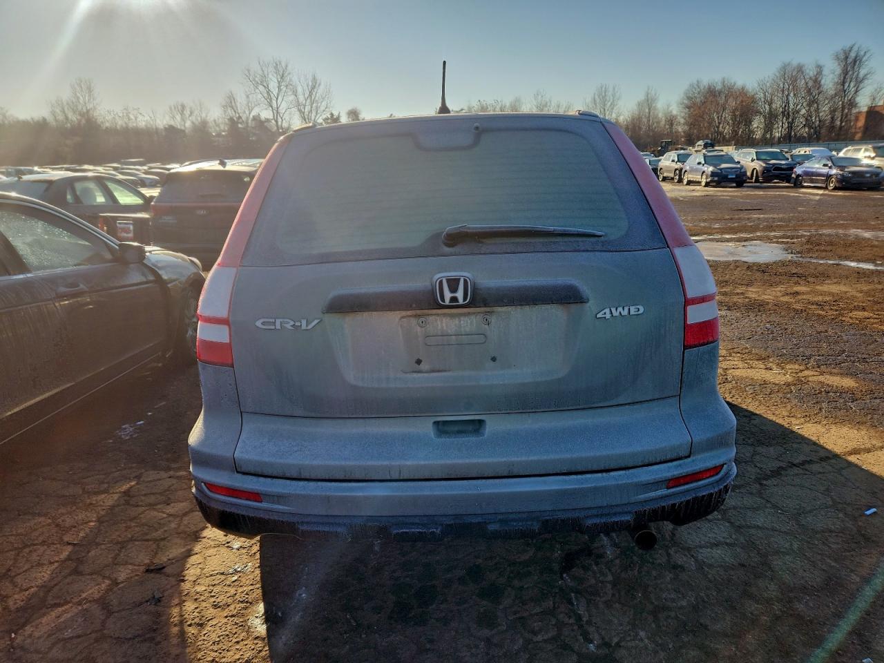 2010 HONDA CR-V LX photo 6