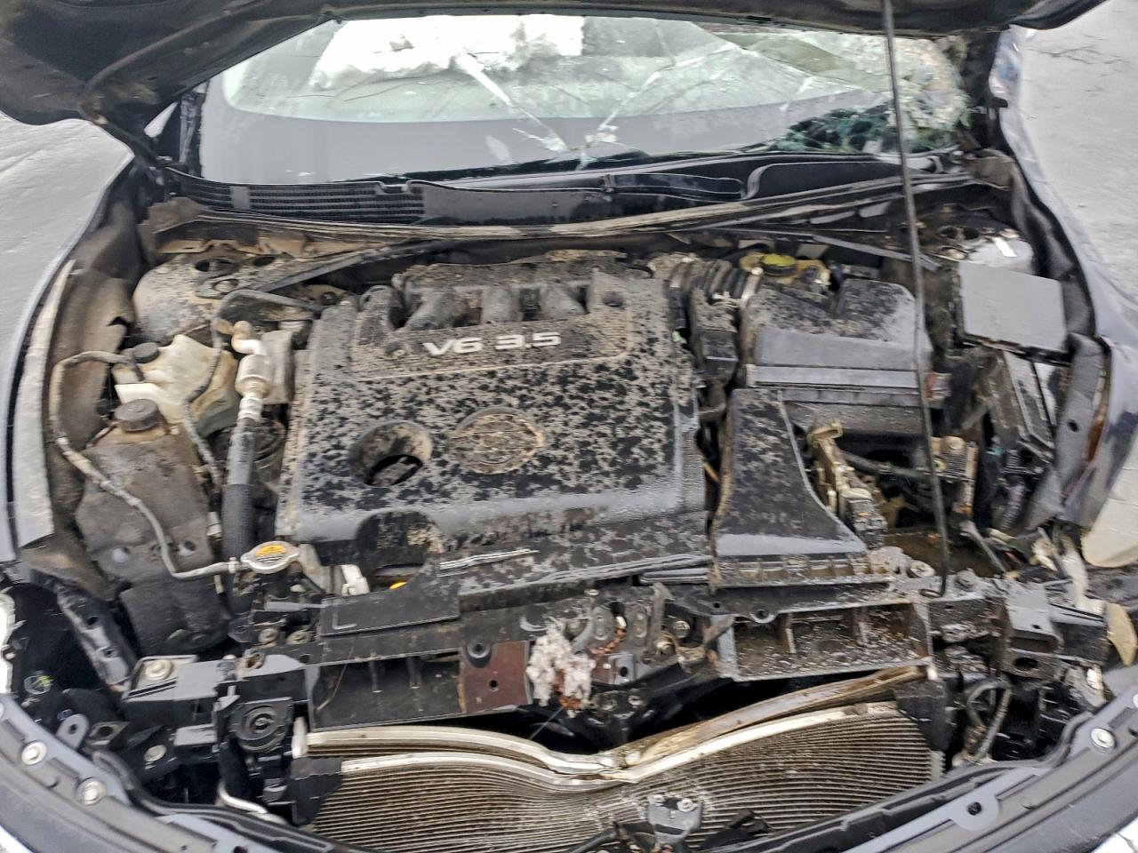 2014 NISSAN ALTIMA 3.5S photo 11