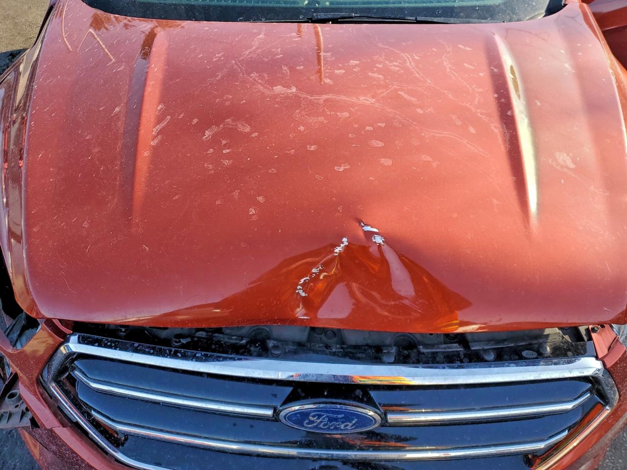 2019 FORD ESCAPE SE photo 12