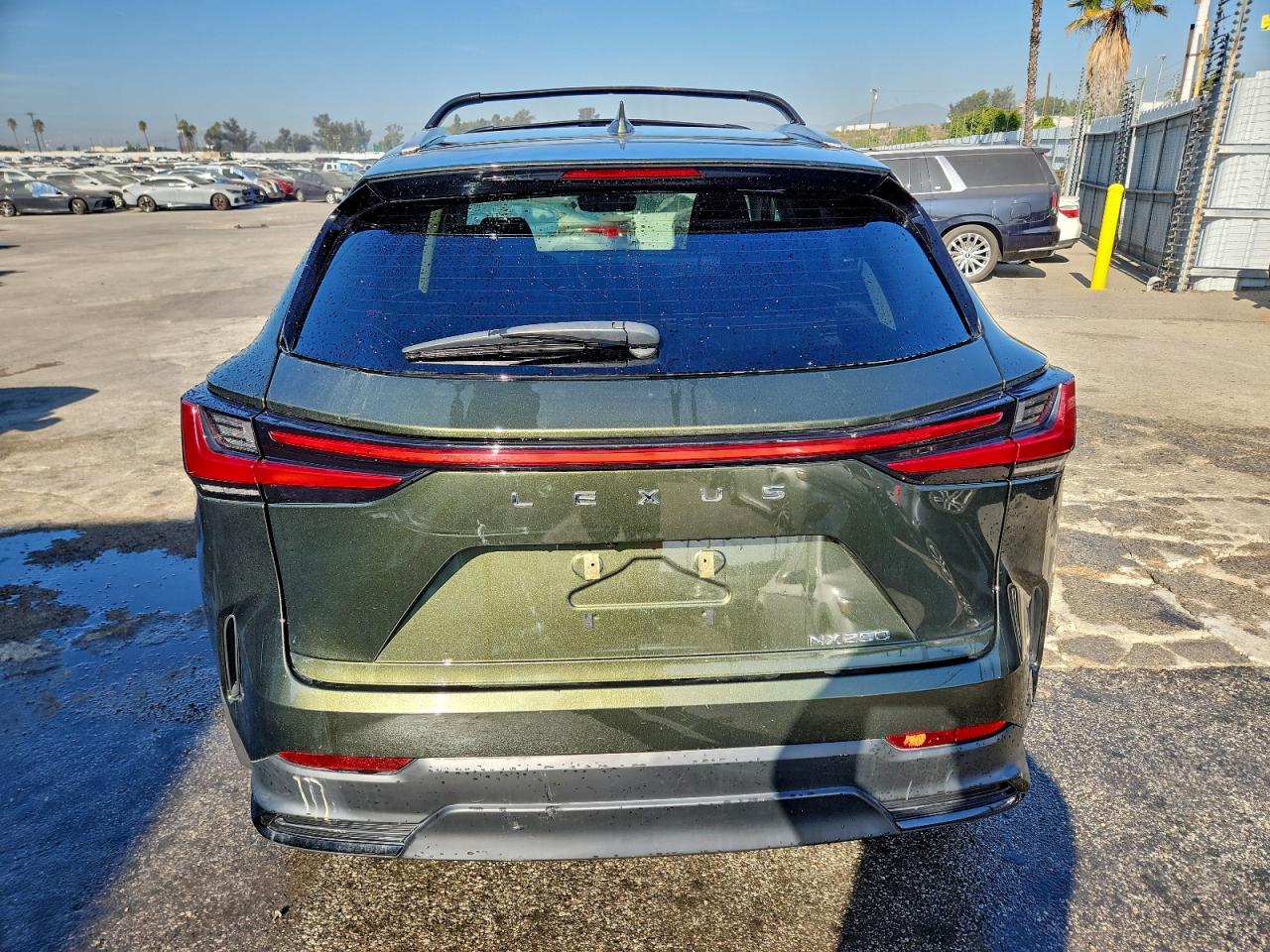 2024 LEXUS NX 250 BASE photo 11