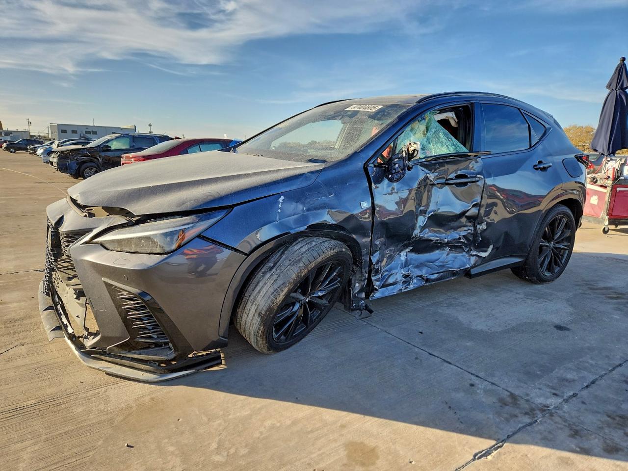 2024 LEXUS NX