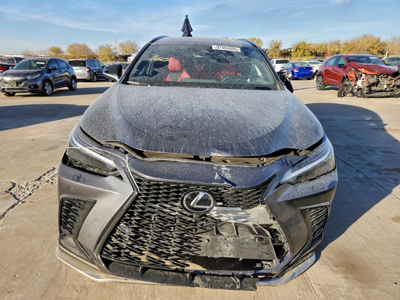 2024 LEXUS NX 450H LUXURY photo 5