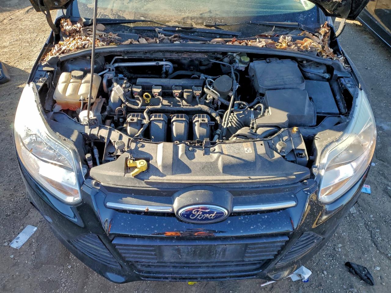 2014 FORD FOCUS SE photo 11