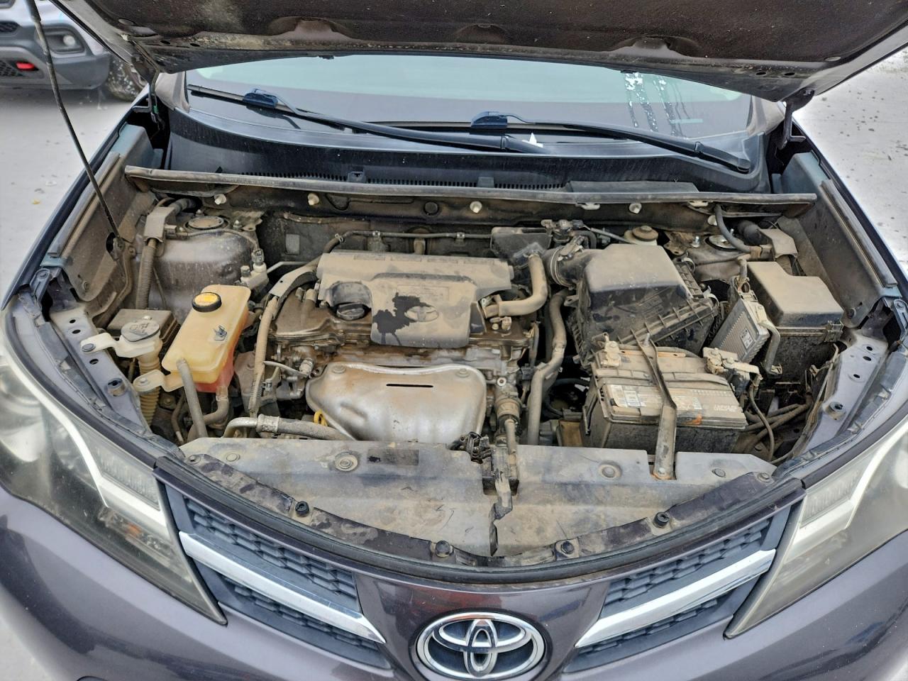 2014 TOYOTA RAV4 XLE photo 11