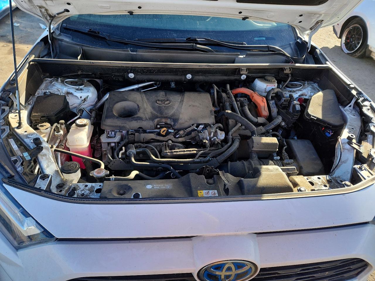 2024 TOYOTA RAV4 XLE photo 12