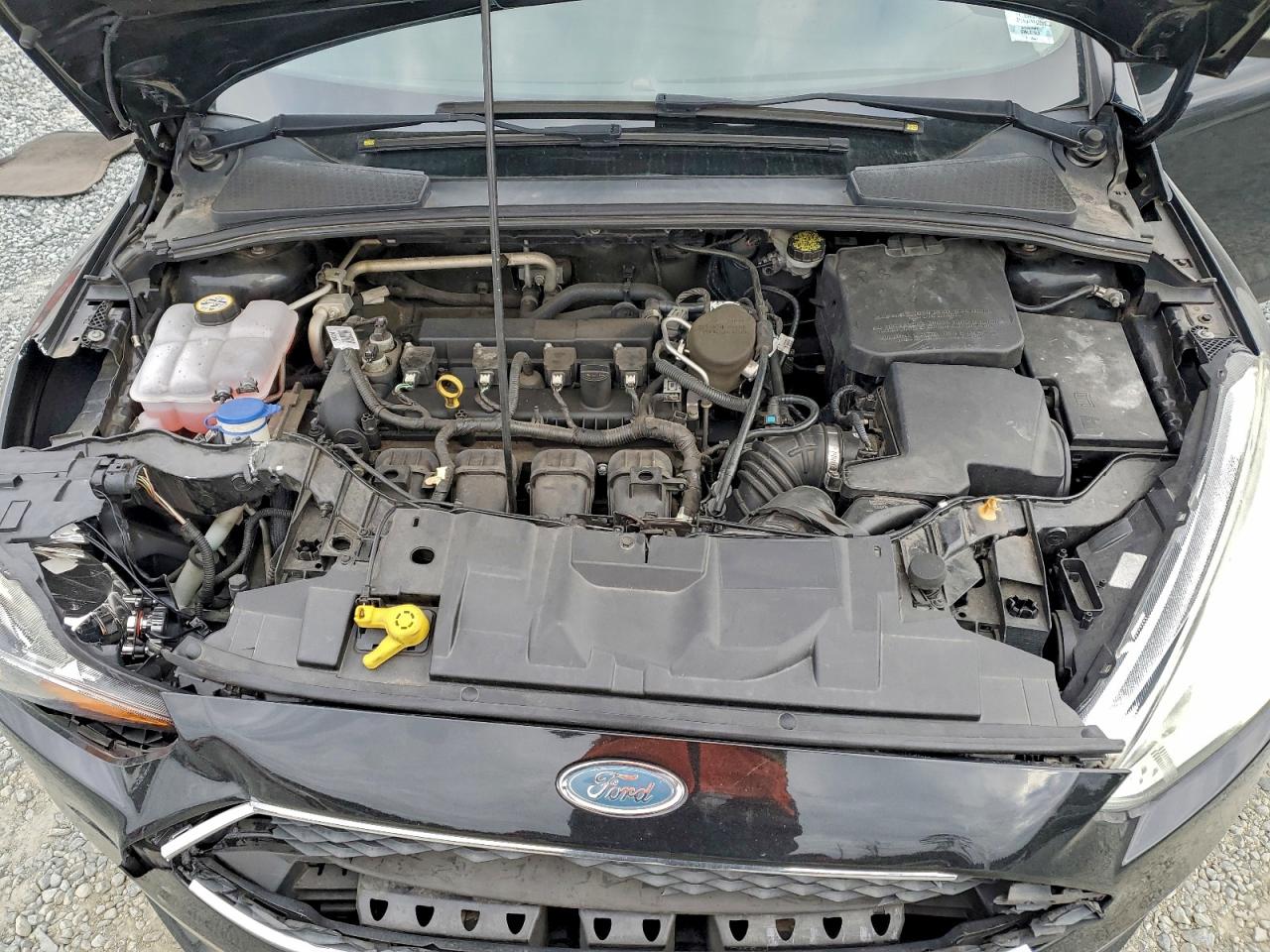 2015 FORD FOCUS SE photo 11