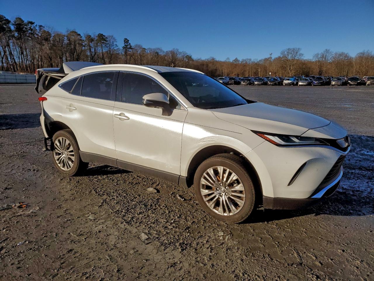 2024 TOYOTA VENZA LE photo 4
