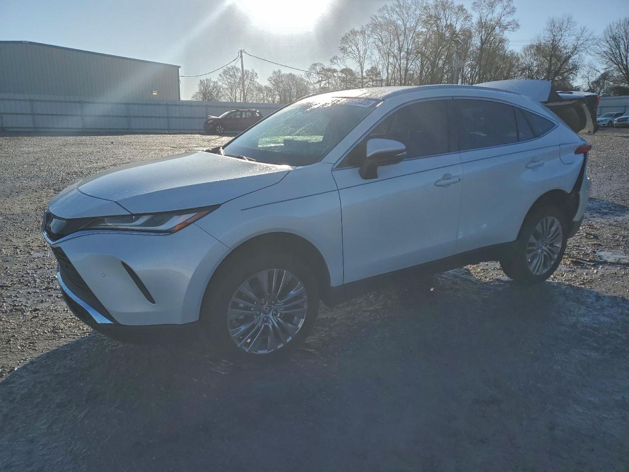 2024 TOYOTA VENZA