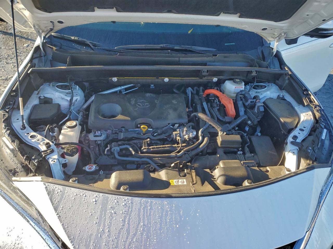 2024 TOYOTA VENZA LE photo 12