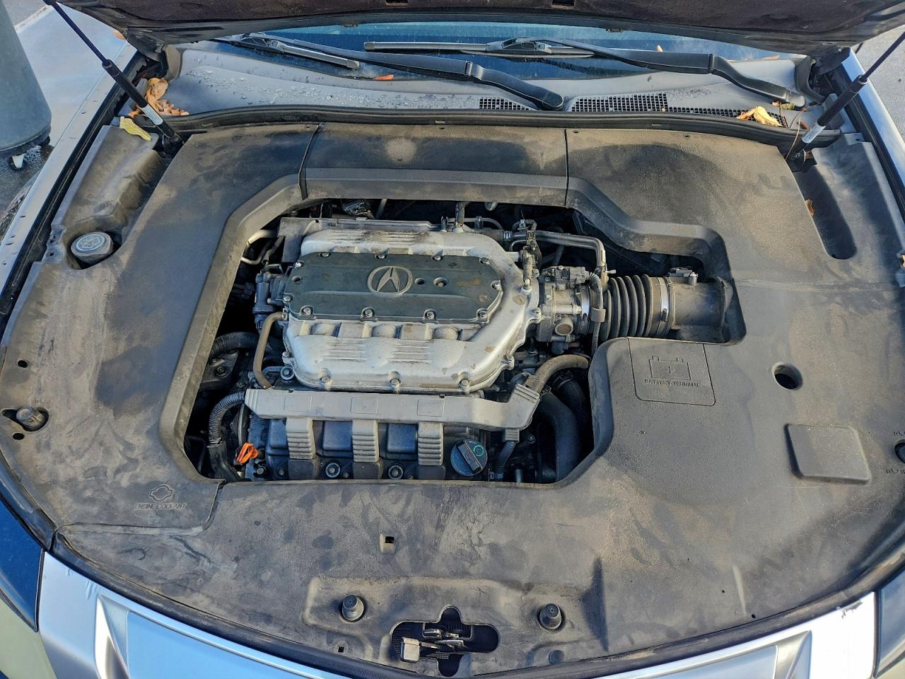 2010 ACURA TL photo 11