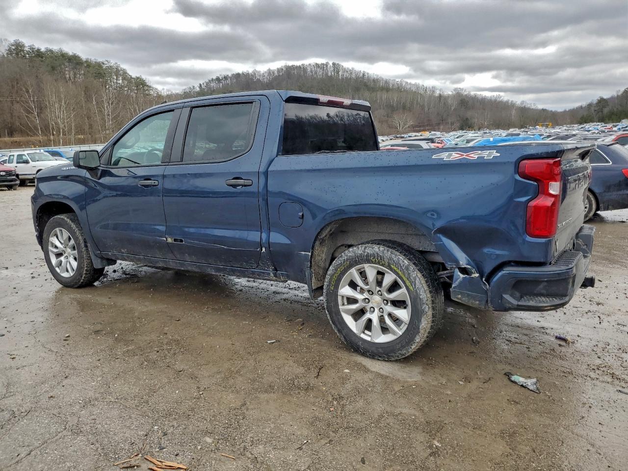2020 CHEVROLET SILVERADO K1500 CUSTOM photo 2