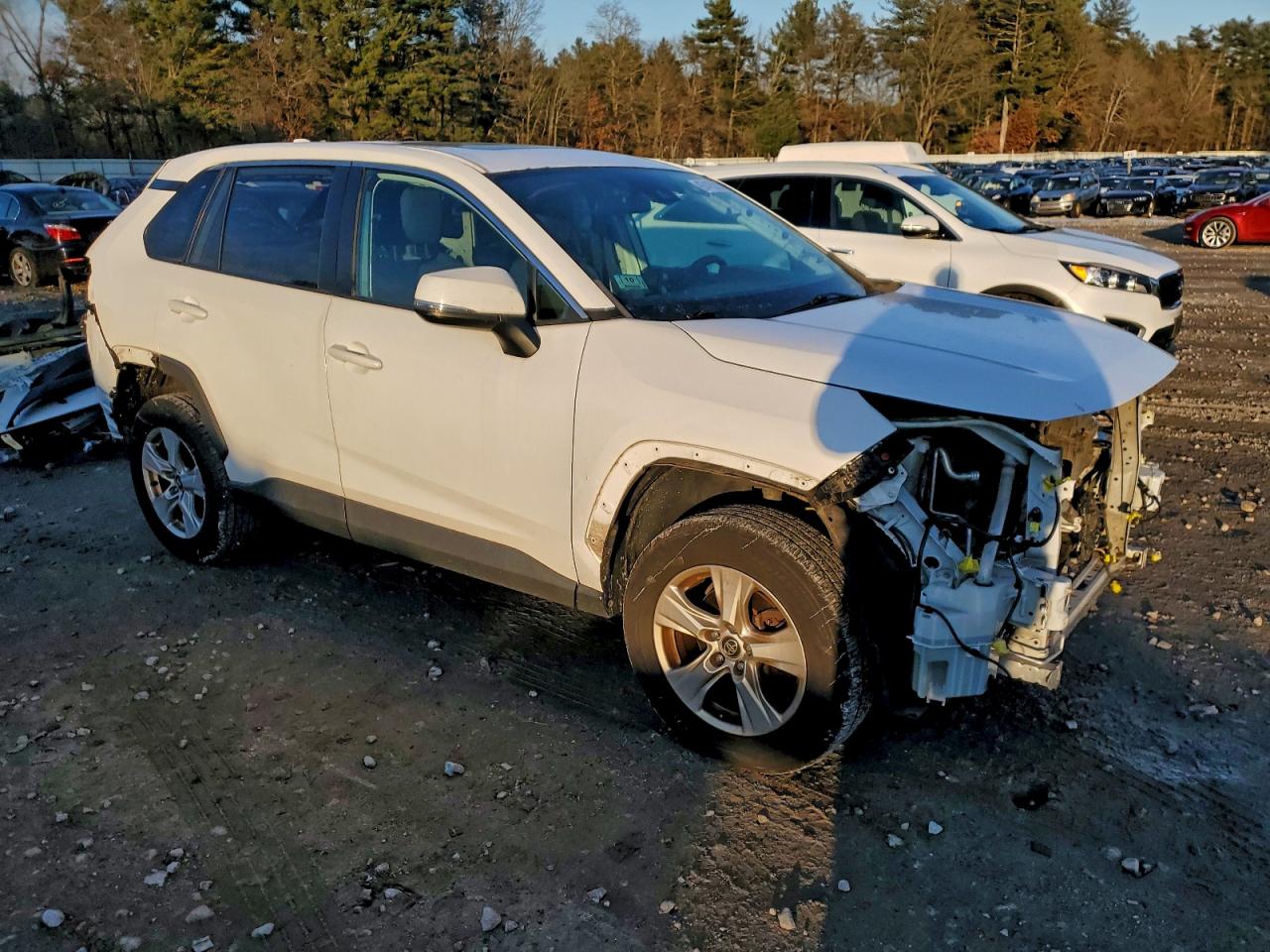 2019 TOYOTA RAV4 XLE photo 10