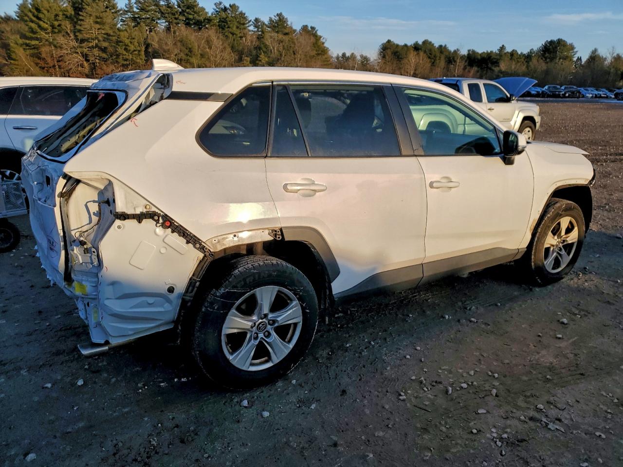 2019 TOYOTA RAV4 XLE photo 7