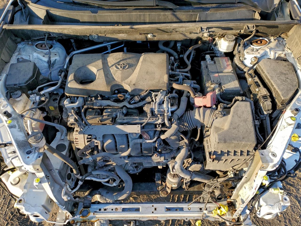 2019 TOYOTA RAV4 XLE photo 34