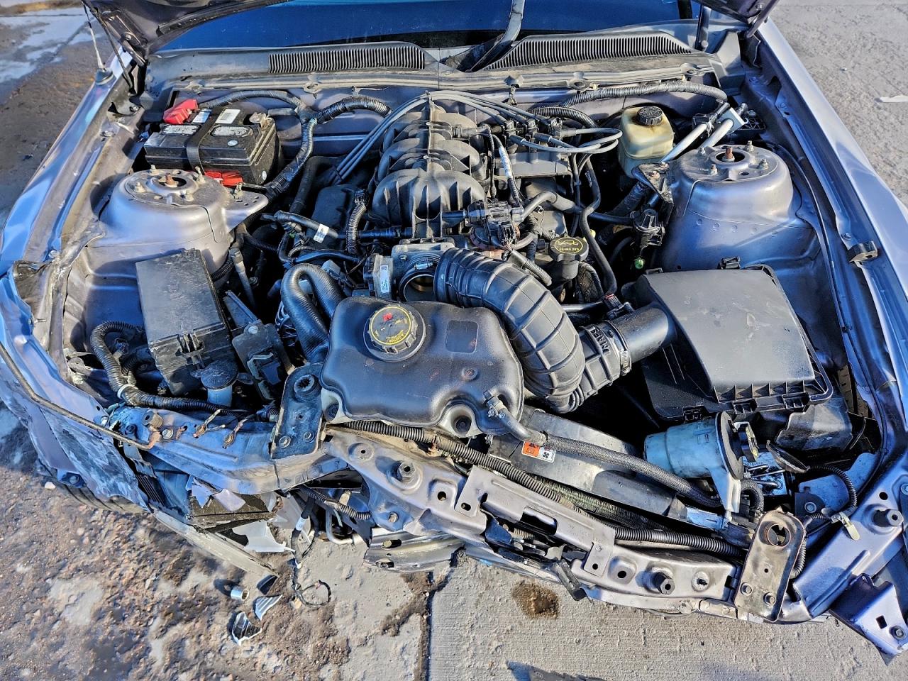 2006 FORD MUSTANG photo 11
