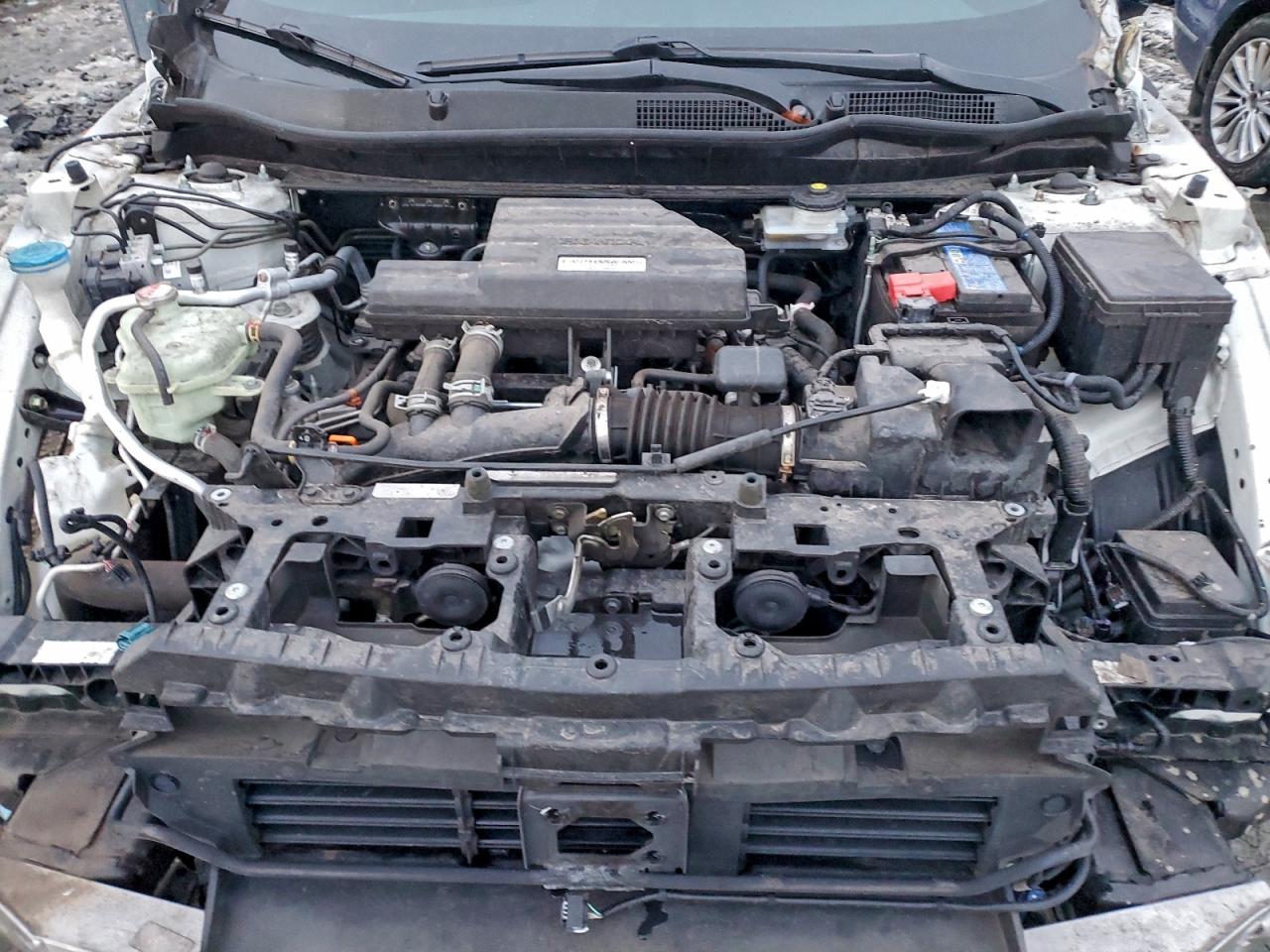 2020 HONDA CR-V EX photo 12