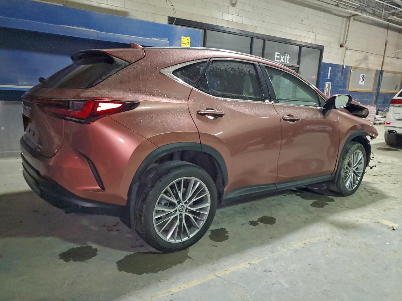 2025 LEXUS NX 350H BASE photo 3
