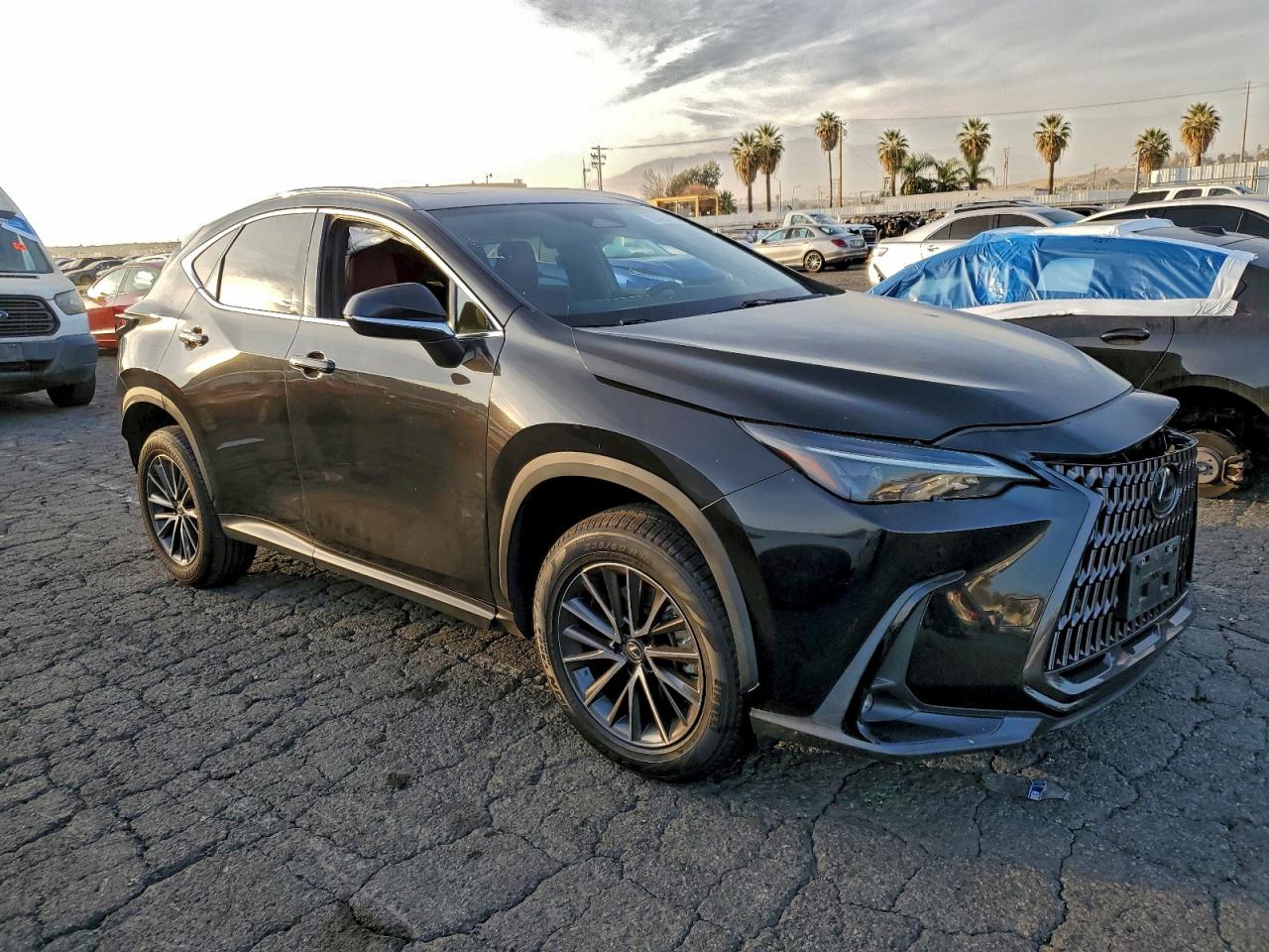 2023 LEXUS NX 350 photo 7