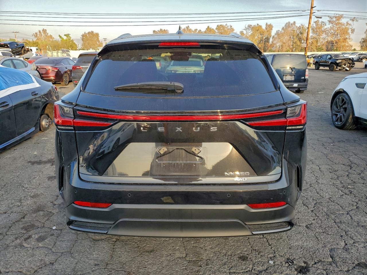 2023 LEXUS NX 350 photo 11