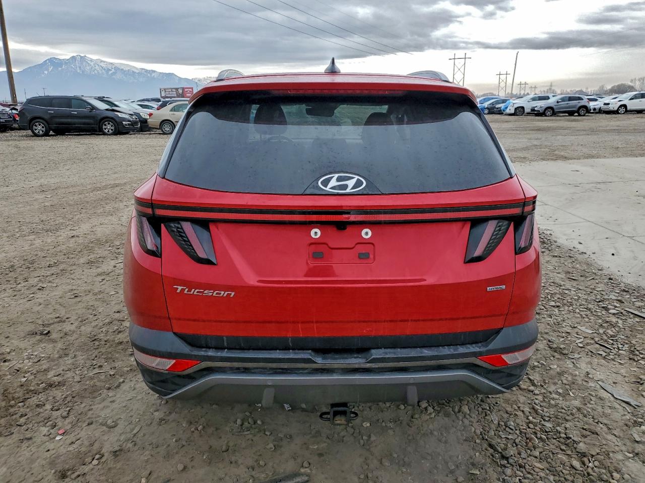 2023 HYUNDAI TUCSON LIMITED photo 6