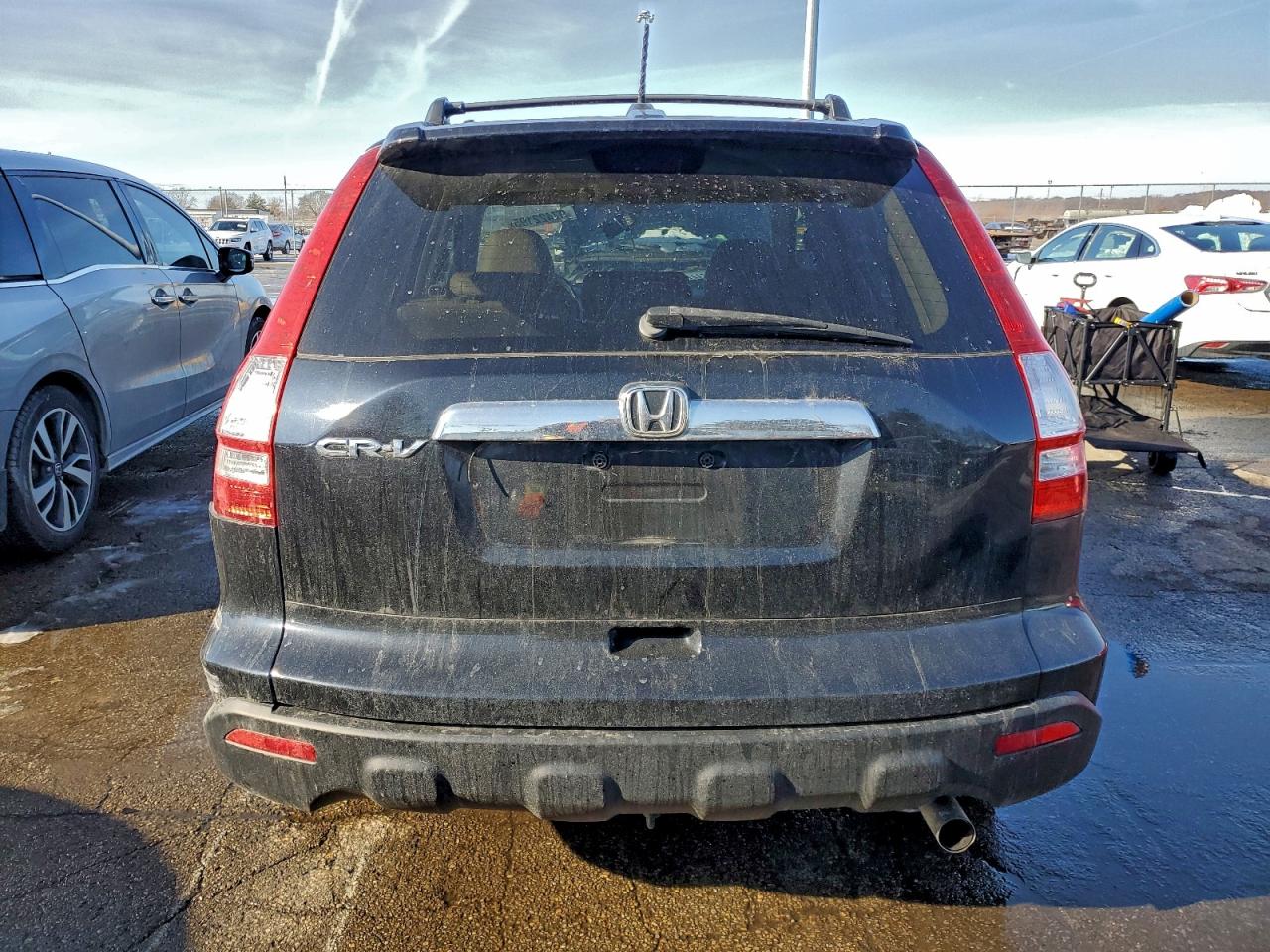 2007 HONDA CR-V EXL photo 6