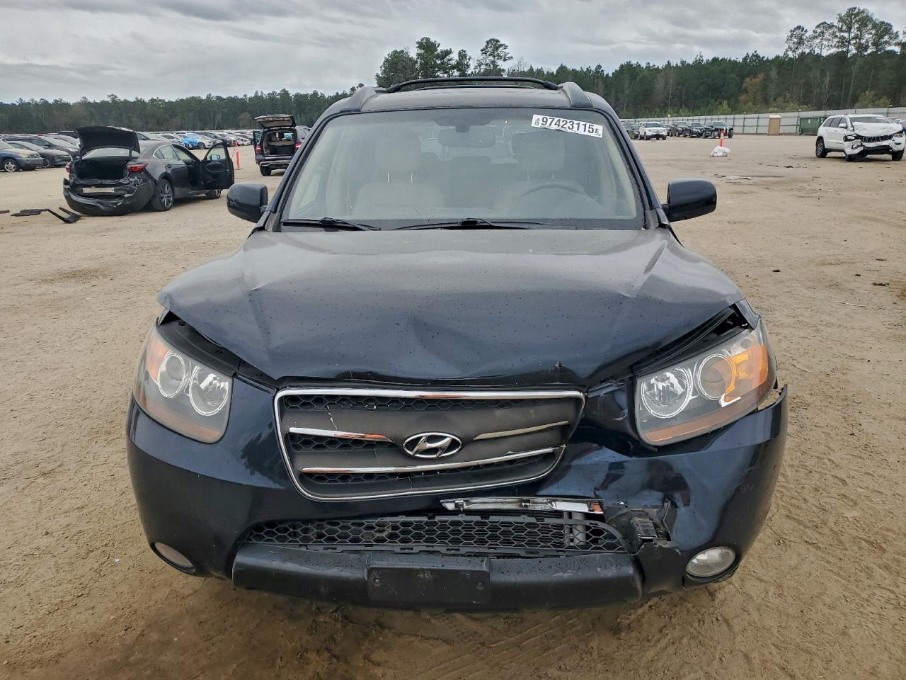 2007 HYUNDAI SANTA FE SE photo 5