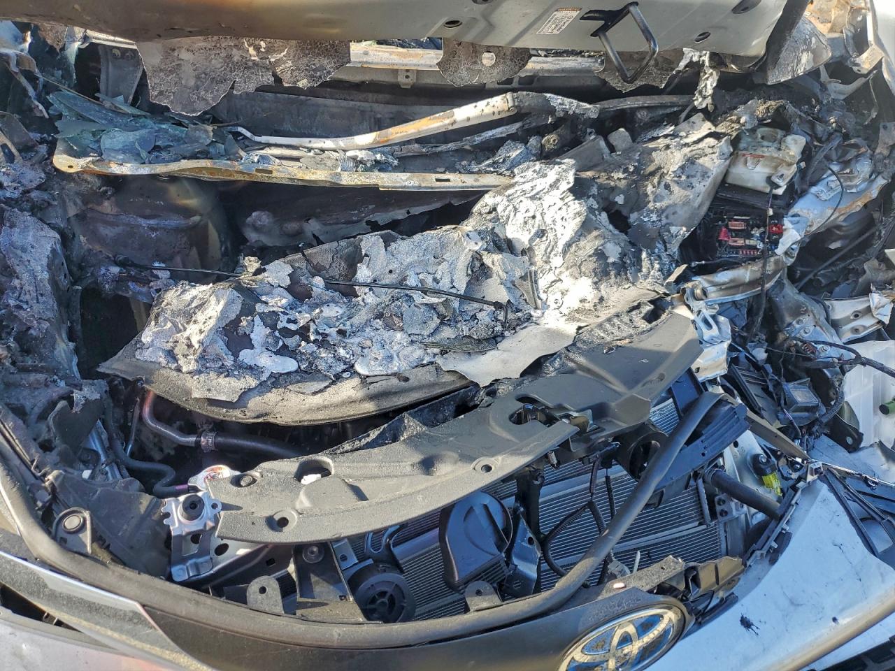 2025 TOYOTA SIENNA LE photo 12