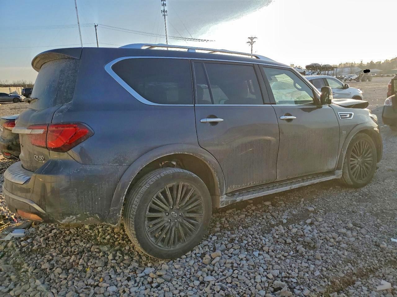2019 INFINITI QX80 LUXE photo 3
