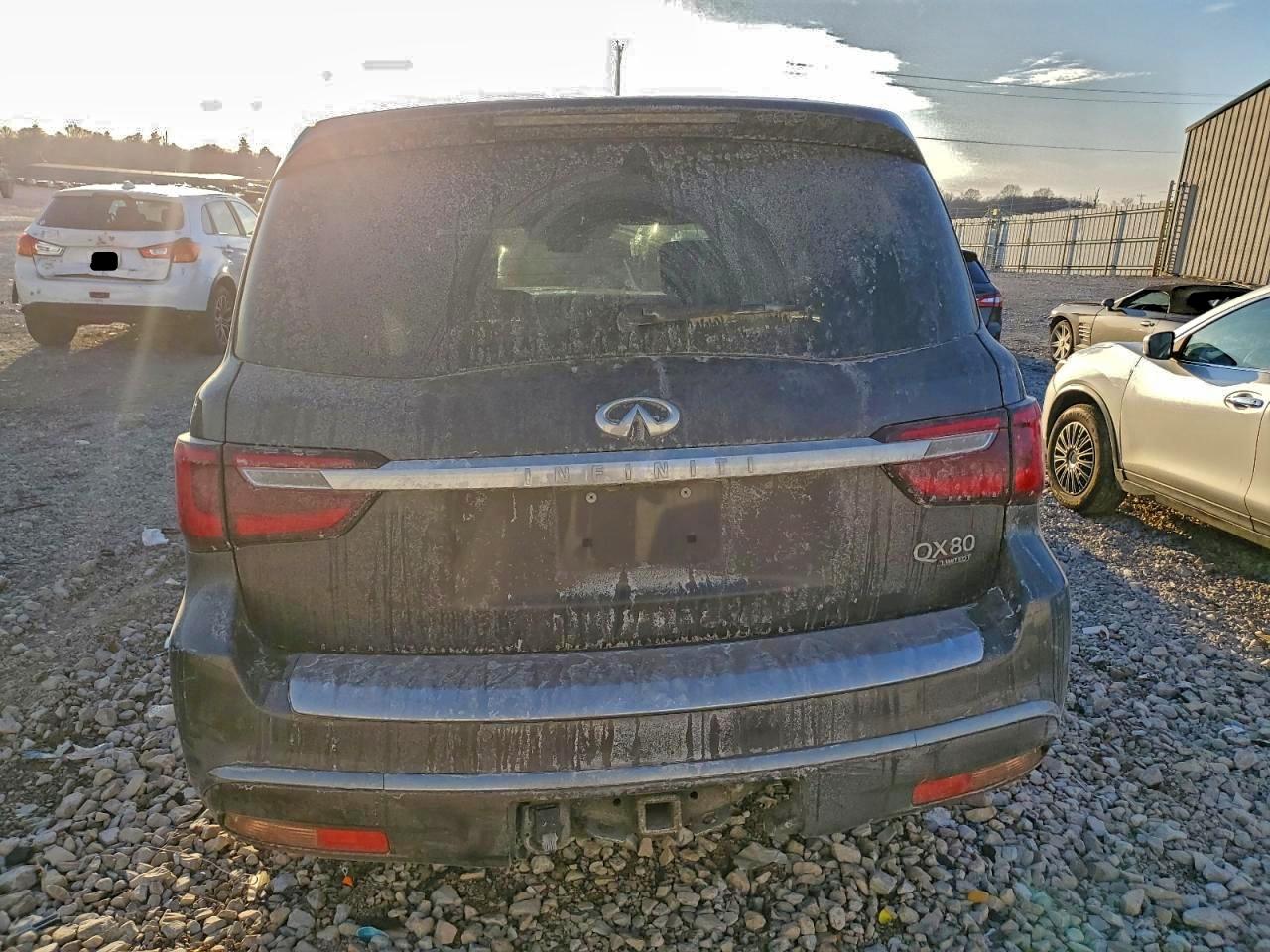 2019 INFINITI QX80 LUXE photo 6