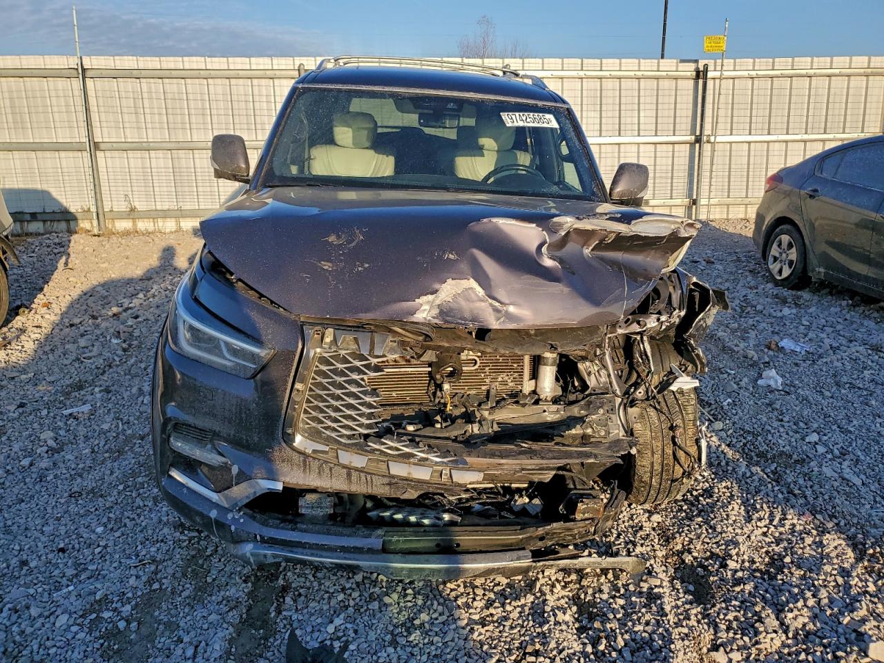 2019 INFINITI QX80 LUXE photo 5