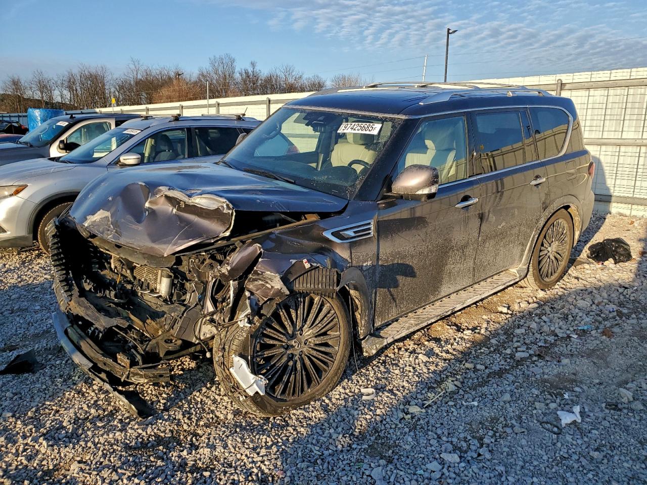 2019 INFINITI QX80