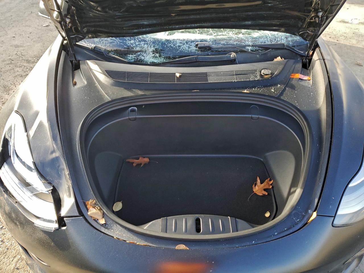 2019 TESLA MODEL 3 photo 31