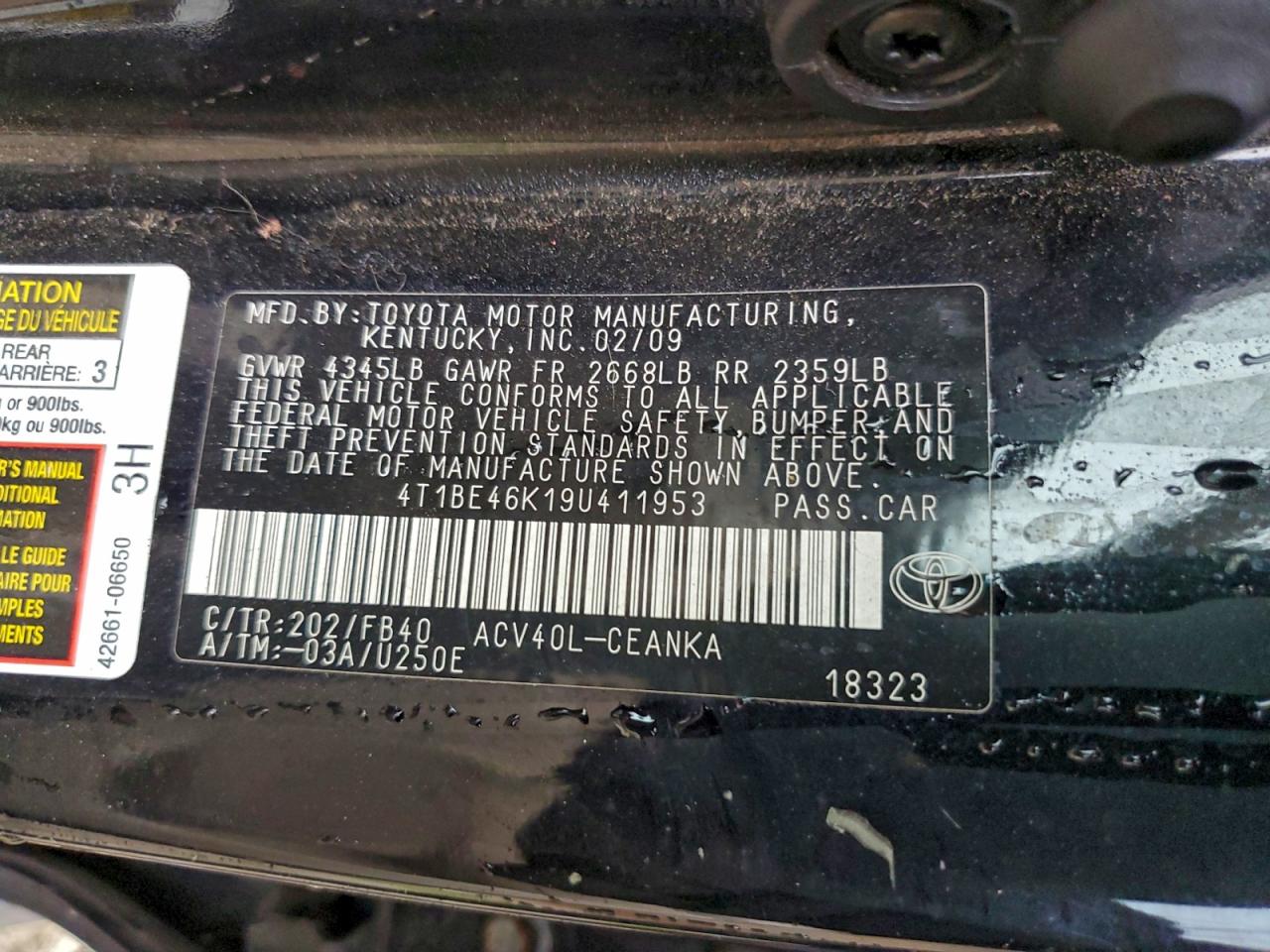 2009 TOYOTA CAMRY BASE photo 12