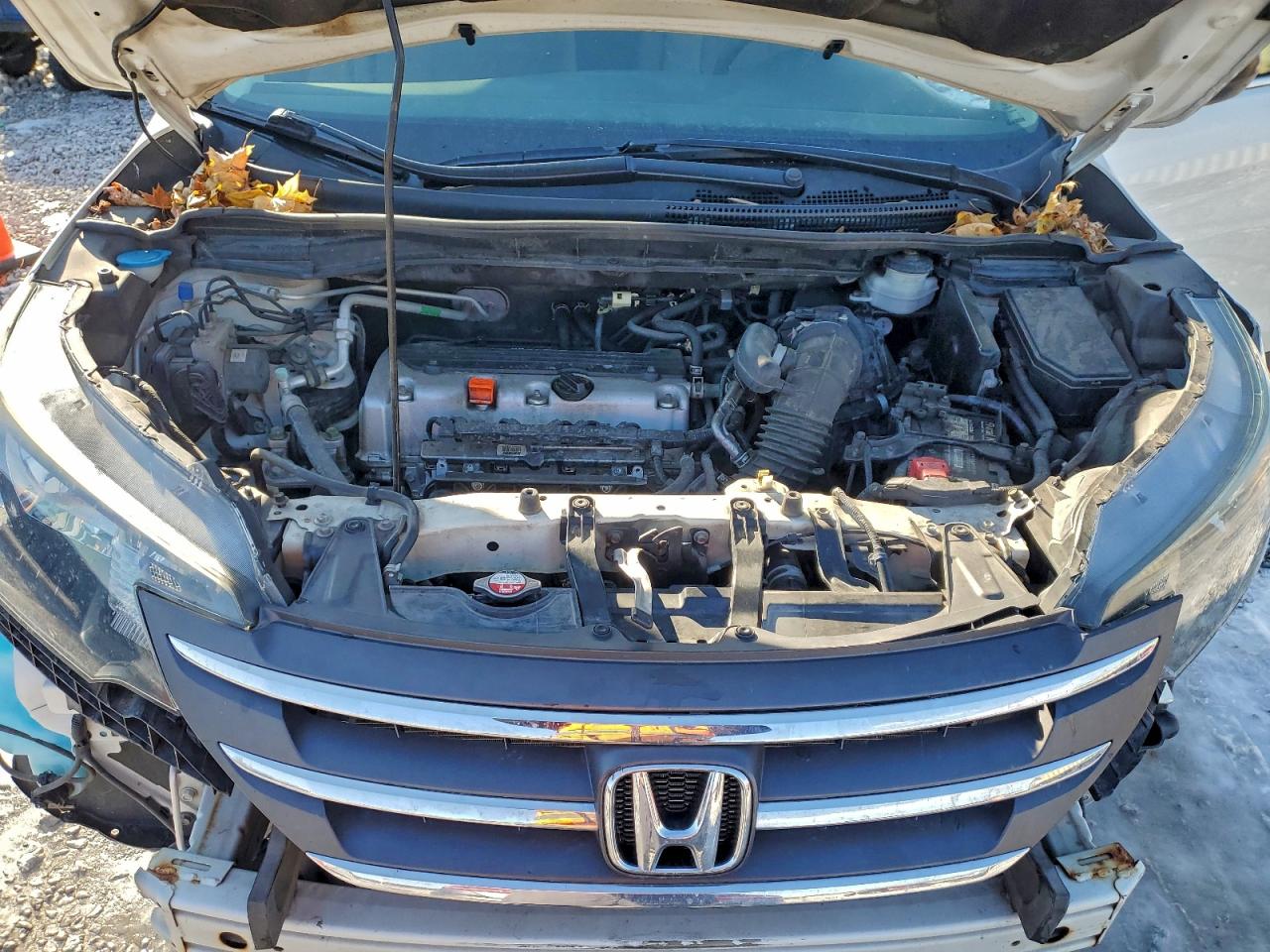 2014 HONDA CR-V LX photo 12