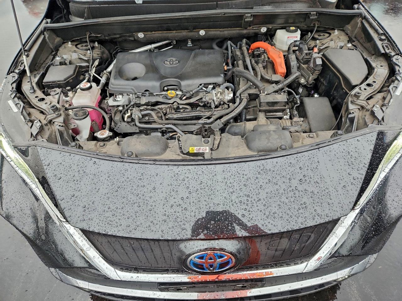 2023 TOYOTA VENZA LE photo 11