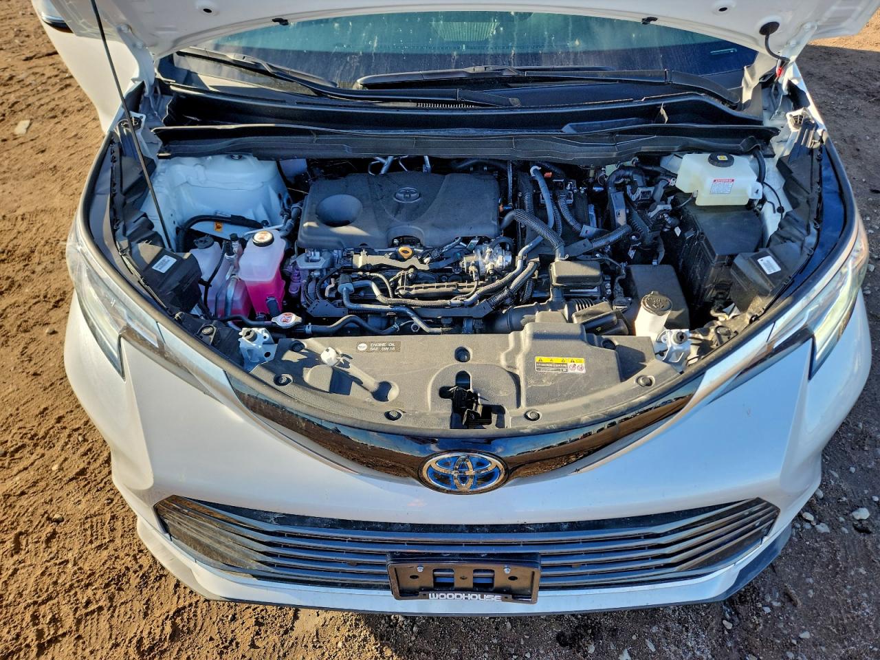 2025 TOYOTA SIENNA photo 12