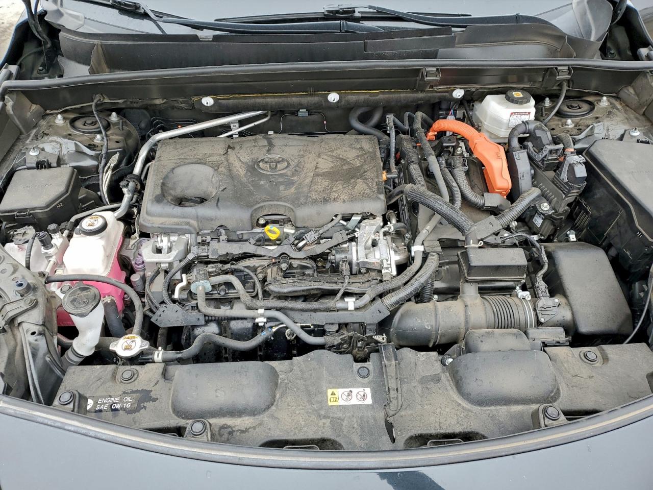 2021 TOYOTA VENZA LE photo 12