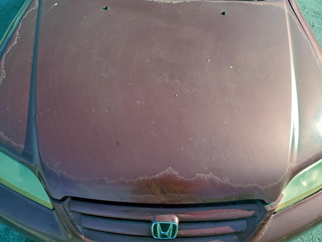 2002 HONDA ACCORD EX photo 11
