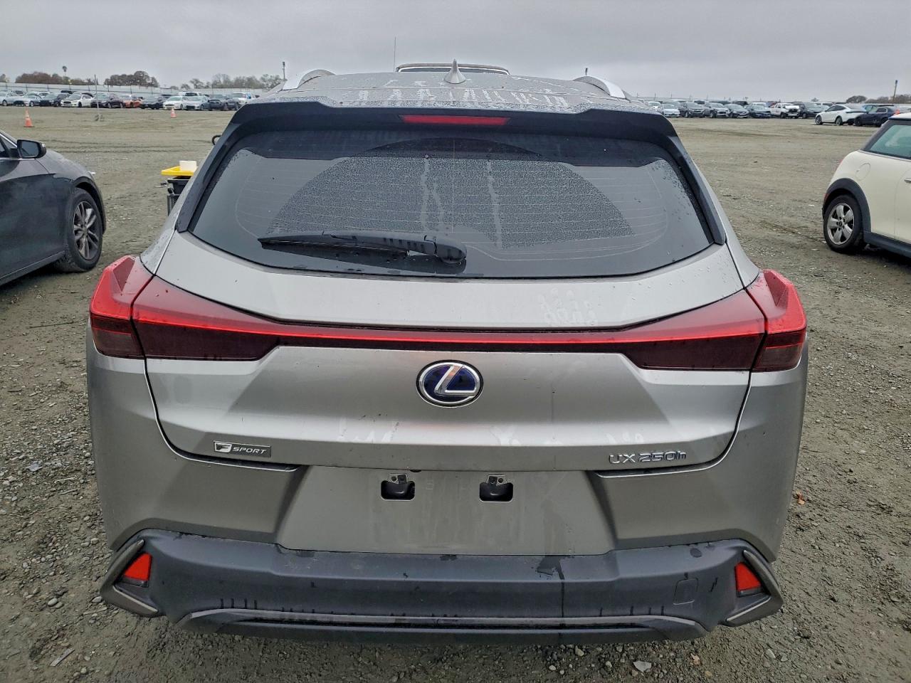 2019 LEXUS UX 250H photo 6