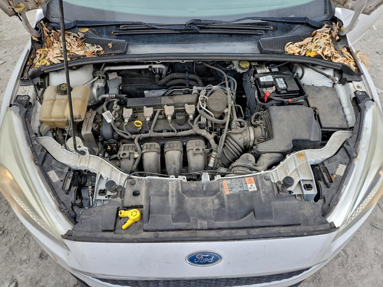 2015 FORD FOCUS SE photo 11
