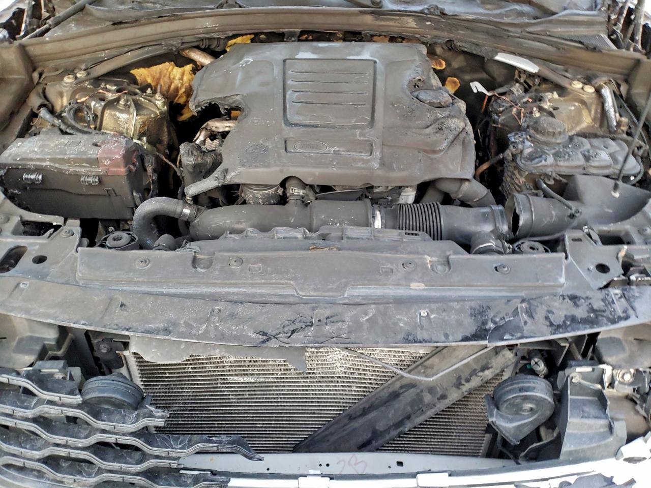 2019 LAND ROVER RANGE ROVER VELAR R-DYNAMIC SE photo 12